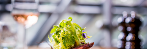 Sustainable dining at Lussmanns St Albans